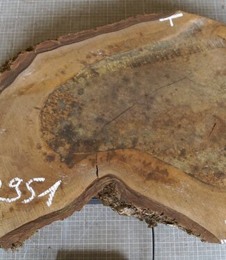 Nussbaum Baumscheibe, ca. 790 x 530 x 52 mm, 12951