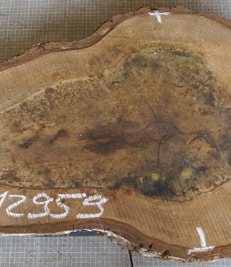 Walnut slab, approx. 720 x 520 x 52 mm, 12959