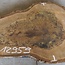 Nussbaum Baumscheibe, ca. 720 x 520 x 52 mm, 12959