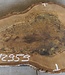 Walnut slab, approx. 720 x 520 x 52 mm, 12959