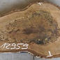 Walnut slab, approx. 720 x 520 x 52 mm, 12959