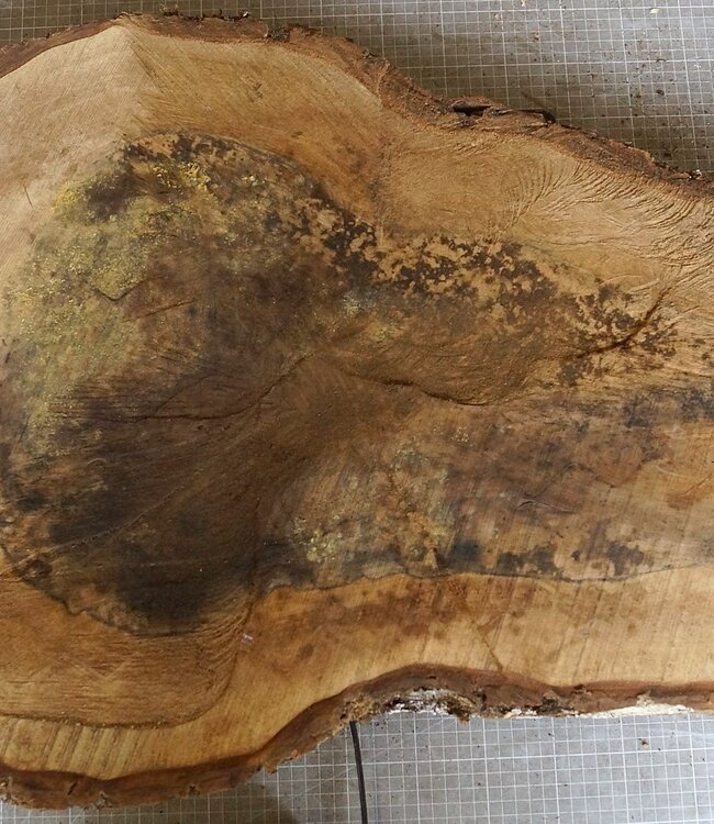 Walnut slab, approx. 720 x 520 x 52 mm, 12959