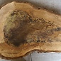 Walnut slab, approx. 720 x 520 x 52 mm, 12959