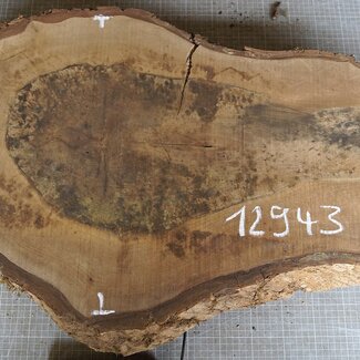 Nussbaum Baumscheibe, ca. 770 x 500 x 52 mm, 12943