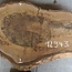 Walnut slab, approx. 770 x 500 x 52 mm, 12943