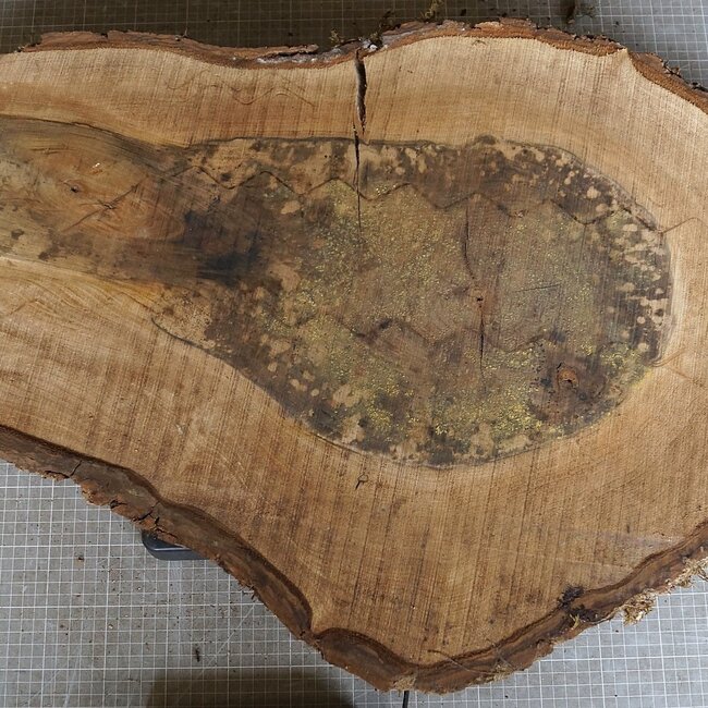 Nussbaum Baumscheibe, ca. 770 x 500 x 52 mm, 12943