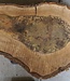 Walnut slab, approx. 770 x 500 x 52 mm, 12943