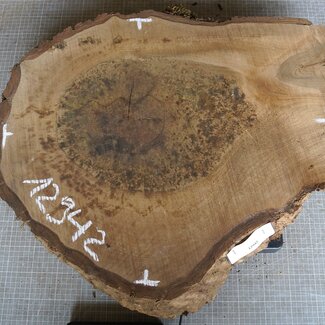 Walnut slab, approx. 620 x 540 x 52 mm, 12942