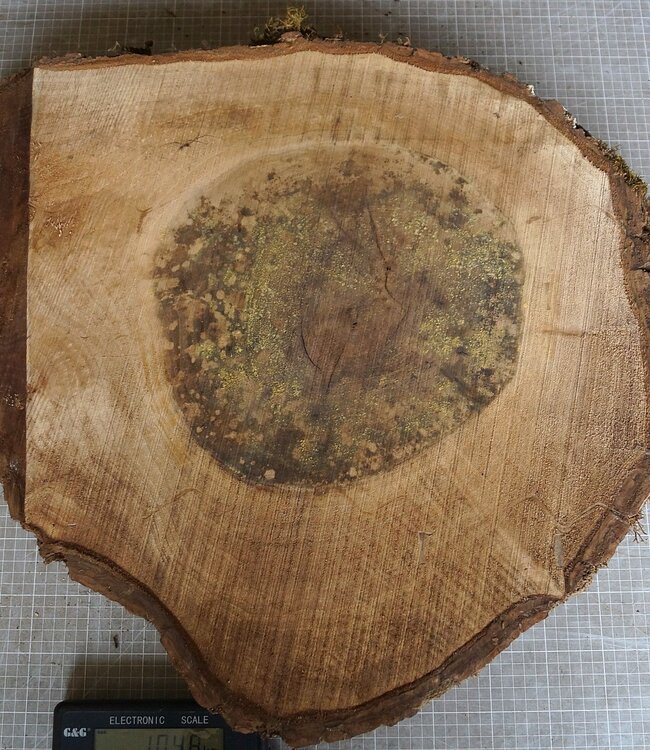 Walnut slab, approx. 620 x 540 x 52 mm, 12942