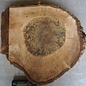 Walnut slab, approx. 620 x 540 x 52 mm, 12942