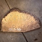Laurel Burl, table top, approx. 1760 x 520 x 65 mm, 12316