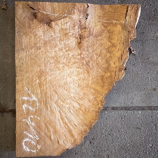 Madrona burl slab, approx. 500 x 400 x 40 mm, 12410