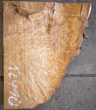 Madrona burl slab, approx. 500 x 400 x 40 mm, 12410