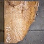 Madrona burl slab, approx. 500 x 400 x 40 mm, 12410