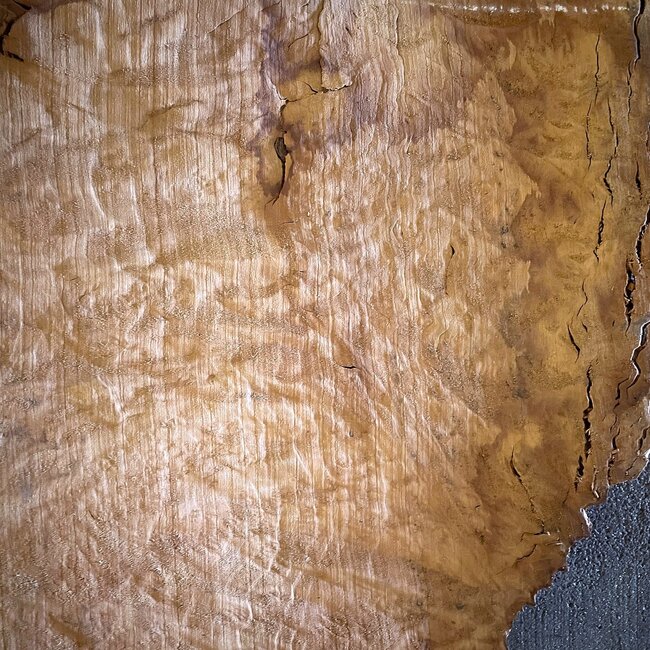 Madrona burl slab, approx. 500 x 400 x 40 mm, 12410