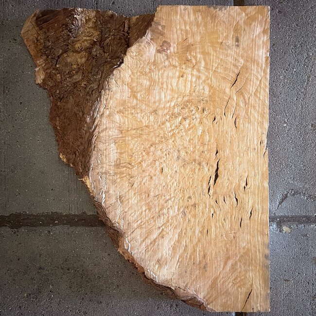 Madrona Maserplatte, ca. 500 x 400 x 40 mm, 12410