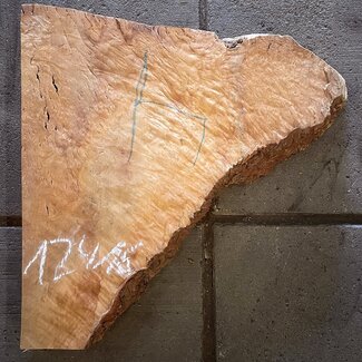 Madrona burl slab, approx. 570 x 540 x 40 mm, 12416