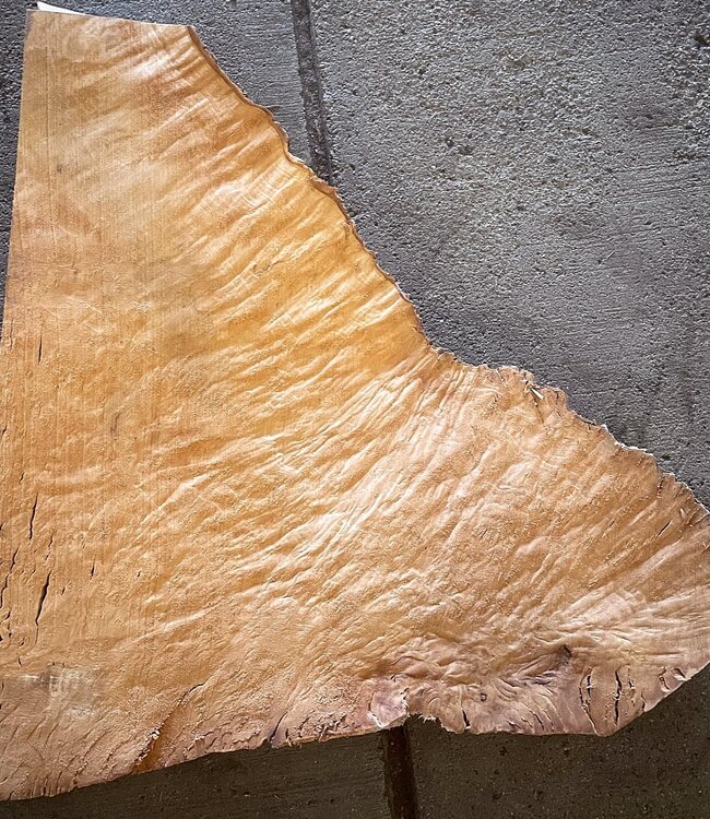 Madrona burl slab, approx. 570 x 540 x 40 mm, 12416