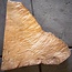 Madrona burl slab, approx. 570 x 540 x 40 mm, 12416