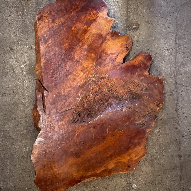 Camphor table top, approx. 800 x 550 x 40/45 mm, 12 kg, 11493