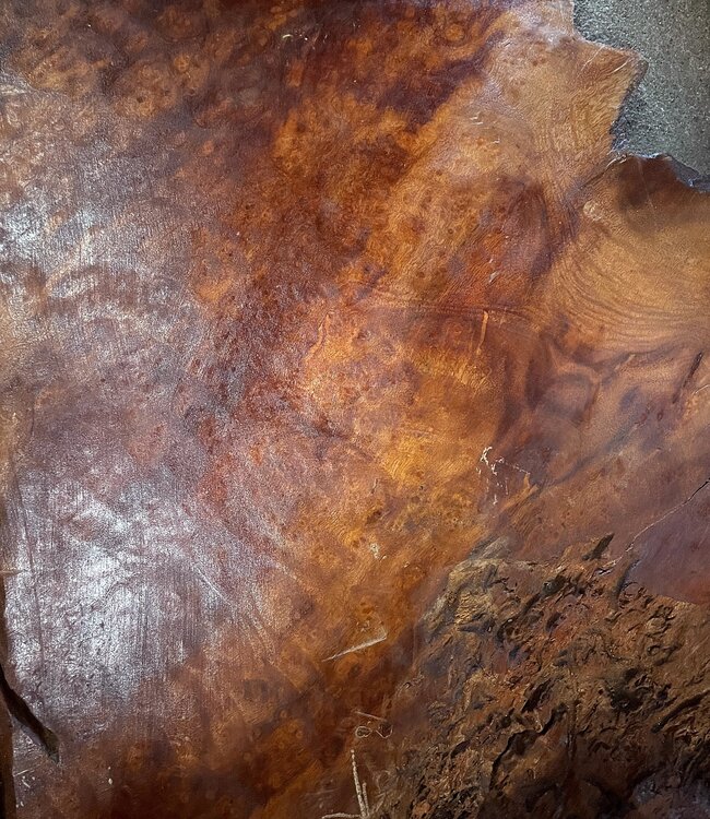 Camphor table top, approx. 800 x 550 x 40/45 mm, 12 kg, 11493