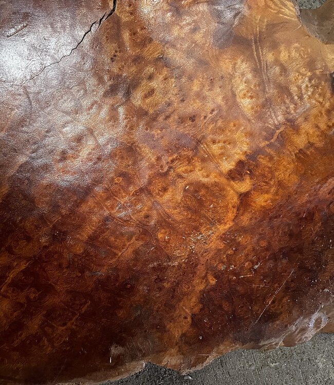 Camphor table top, approx. 800 x 550 x 40/45 mm, 12 kg, 11493