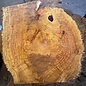 Camphor table top, approx. 1120 x 1020 x 52 mm, 46 kg, 11579