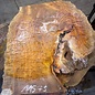Camphor table top, approx. 1120 x 1020 x 52 mm, 46 kg, 11579