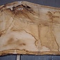 Oak table top, approx. 3150 x 830 x 80 mm, 13619
