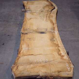 Eiche Tischplatte, ca. 3150 x 870 x 80 mm, 13620