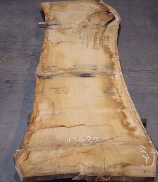 Oak table top, approx. 3150 x 870 x 80 mm, 13620