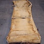 Oak table top, approx. 3150 x 870 x 80 mm, 13620