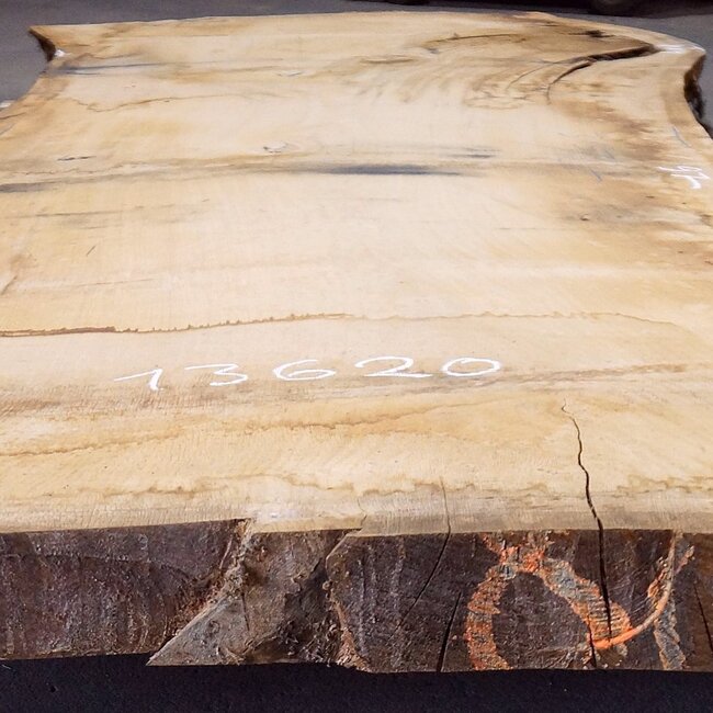 Eiche Tischplatte, ca. 3150 x 870 x 80 mm, 13620