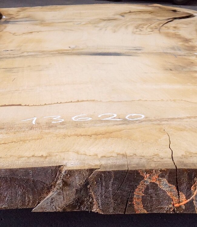 Oak table top, approx. 3150 x 870 x 80 mm, 13620