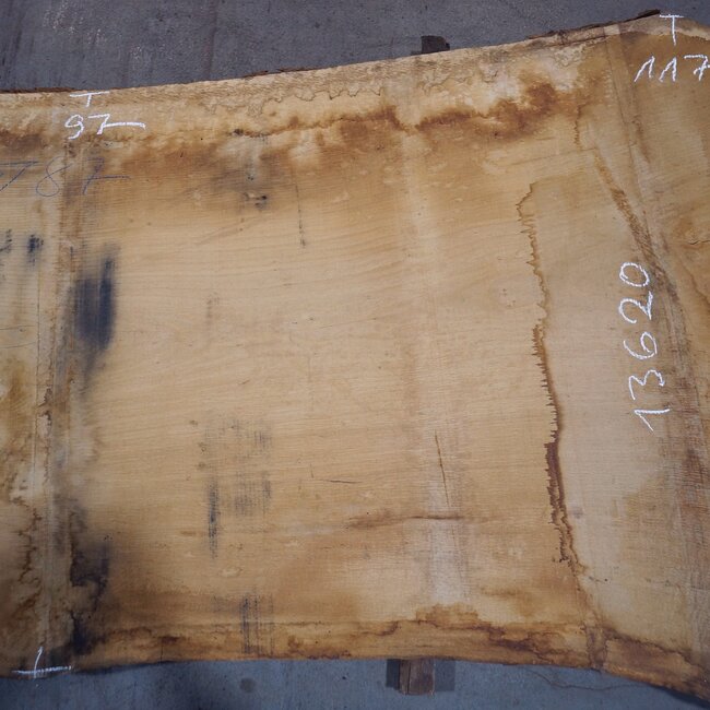 Eiche Tischplatte, ca. 3150 x 870 x 80 mm, 13620