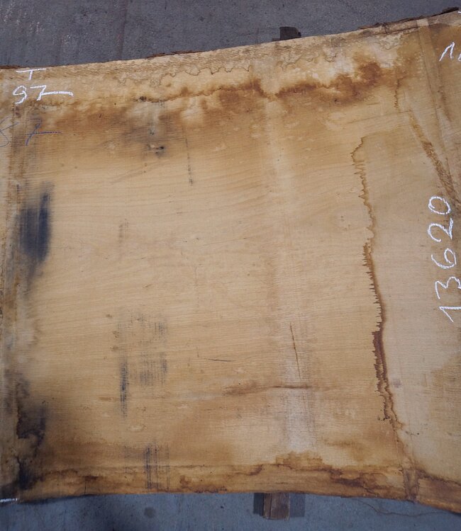 Oak table top, approx. 3150 x 870 x 80 mm, 13620
