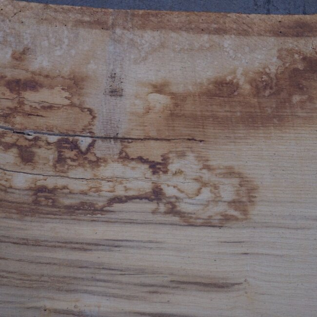 Eiche Tischplatte, ca. 3150 x 870 x 80 mm, 13620