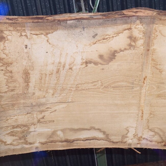 Oak table top, approx. 3150 x 870 x 80 mm, 13620