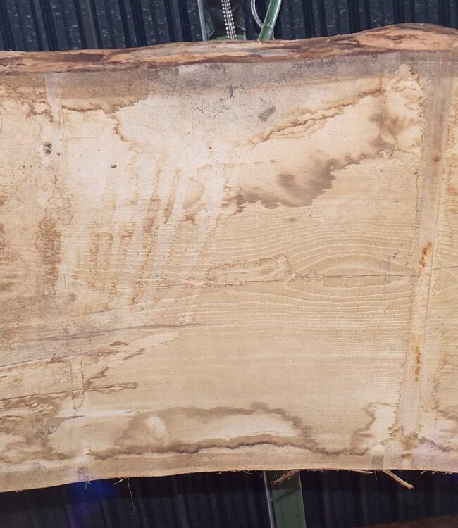 Oak table top, approx. 3150 x 870 x 80 mm, 13620