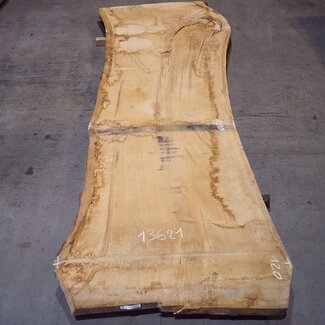 Oak table top, approx. 3150 x 900 x 80 mm, 13621