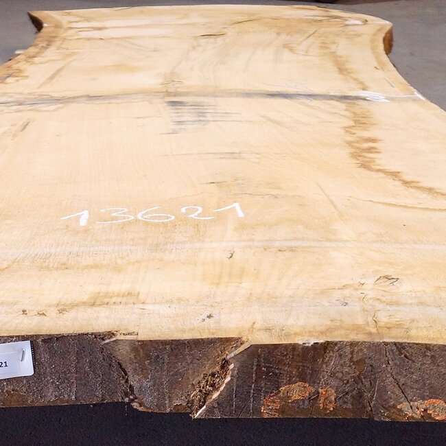 Eiche Tischplatte, ca. 3150 x 900 x 80 mm, 13621