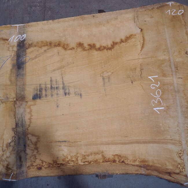 Oak table top, approx. 3150 x 900 x 80 mm, 13621