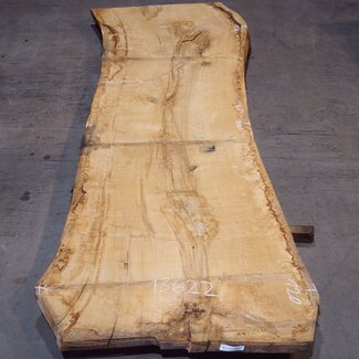 Oak table top, approx. 3150 x 900 x 80 mm, 13622