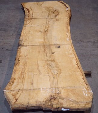 Oak table top, approx. 3150 x 900 x 80 mm, 13622