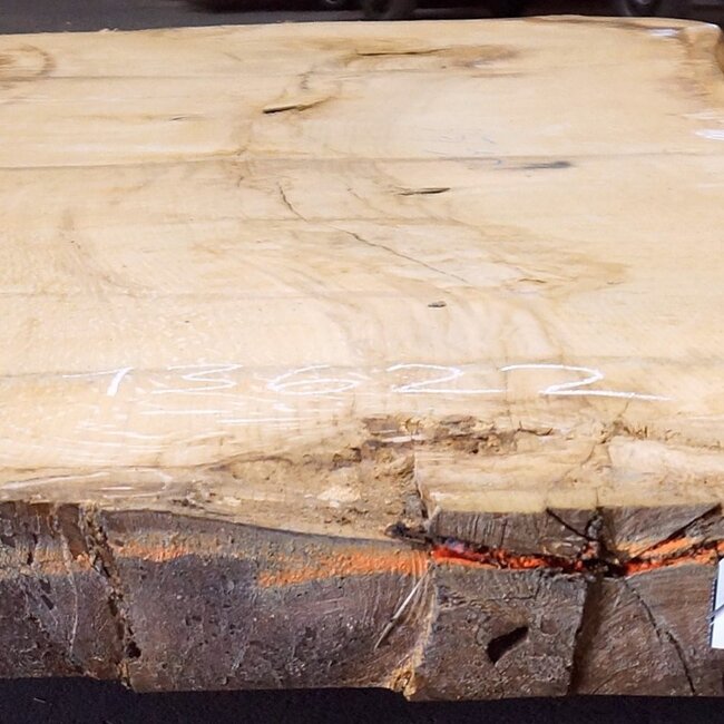 Oak table top, approx. 3150 x 900 x 80 mm, 13622