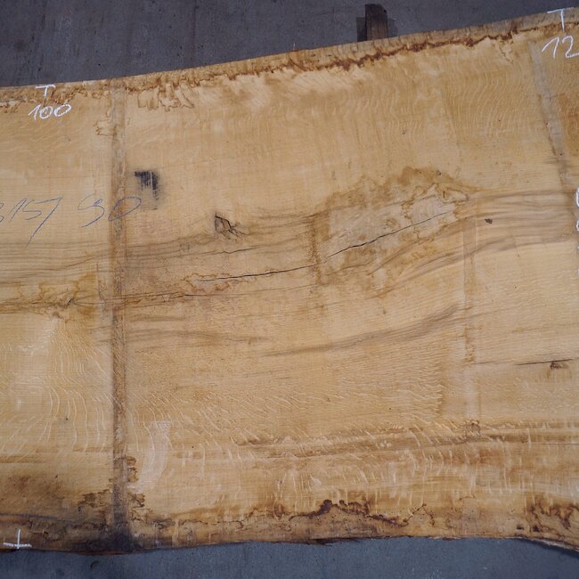 Oak table top, approx. 3150 x 900 x 80 mm, 13622