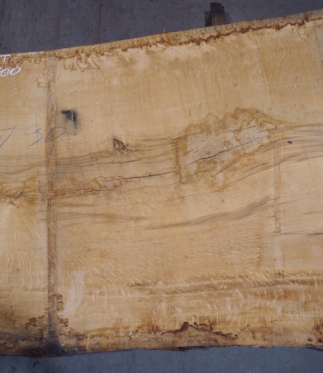 Oak table top, approx. 3150 x 900 x 80 mm, 13622
