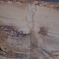 Oak table top, approx. 3150 x 900 x 80 mm, 13622