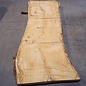 Oak table top, approx. 3150 x 890 x 80 mm, 13623