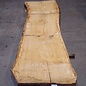 Oak table top, approx. 3150 x 840 x 80 mm, 13624